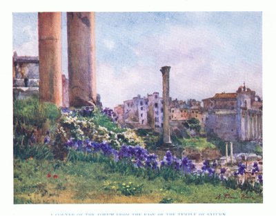 The corner of the Forum, from the base of the Temple of Saturn by Alberto Pisa